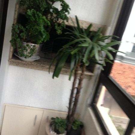 Apartamento Jurere Florianópolis Exterior foto